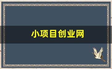 小项目创业网