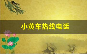 小黄车热线电话