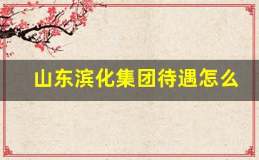 山东滨化集团待遇怎么样