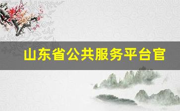 山东省公共服务平台官网