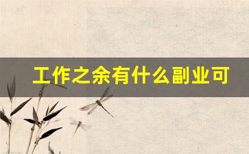 工作之余有什么副业可以做的