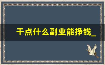 干点什么副业能挣钱_女生可以做什么副业赚钱