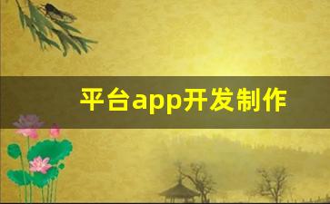 平台app开发制作