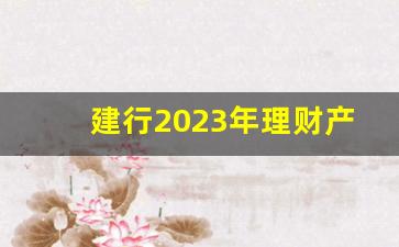 建行2023年理财产品_建行最稳健的理财产品