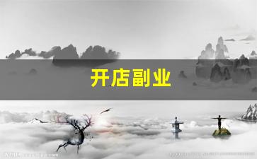 开店副业