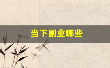 当下副业哪些