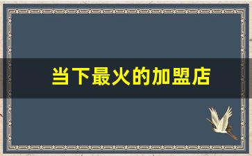 当下最火的加盟店