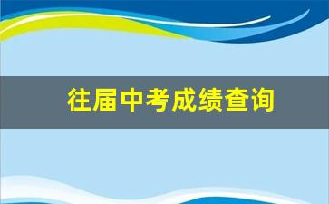 往届中考成绩查询