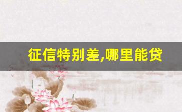 征信特别差,哪里能贷款