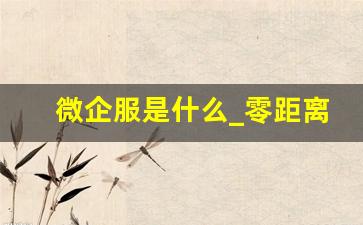 微企服是什么_零距离企服是什么公司