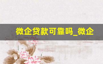 微企贷款可靠吗_微企贷是什么银行贷款
