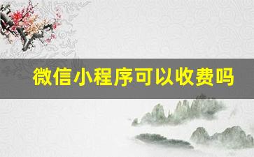 微信小程序可以收费吗_做一个微信小程序需要多少钱