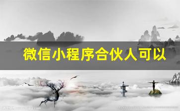 微信小程序合伙人可以做吗_小程序创业