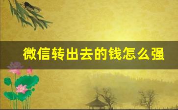 微信转出去的钱怎么强制退回_被诈骗转账的钱能否找回来