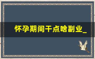 怀孕期间干点啥副业_孕妇没工作如何赚钱