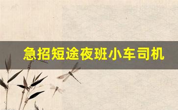 急招短途夜班小车司机_自带轿车可以找什么工作