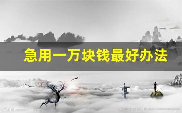 急用一万块钱最好办法_征信通不过应该去哪里借钱