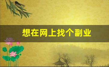 想在网上找个副业