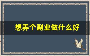 想弄个副业做什么好
