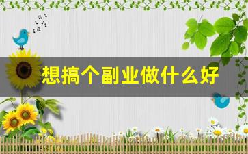 想搞个副业做什么好