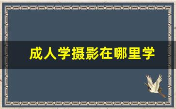 成人学摄影在哪里学