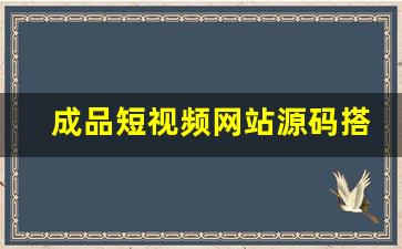 成品短视频网站源码搭建_黄冈网站推广软件费用是多少