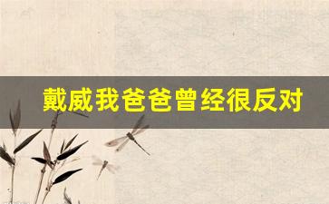 戴威我爸爸曾经很反对我创业