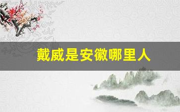 戴威是安徽哪里人