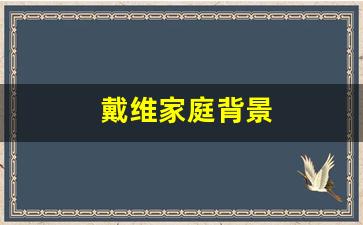 戴维家庭背景