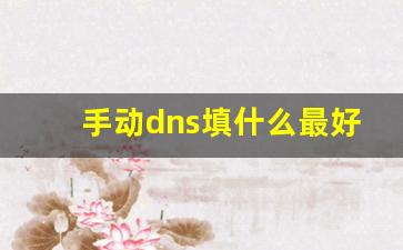 手动dns填什么最好_如何修改手机dns