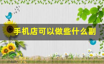 手机店可以做些什么副业_正规的手机副业