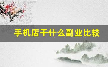 手机店干什么副业比较好_在家能做的副业