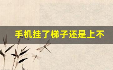手机挂了梯子还是上不了外网