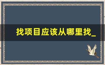 找项目应该从哪里找_什么网站可以查工程项目信息