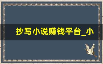 抄写小说赚钱平台_小说录入员官方版