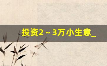 投资2～3万小生意_00后创业做什么好