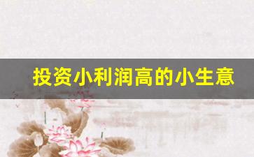 投资小利润高的小生意_如何创业白手起家