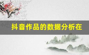 抖音作品的数据分析在哪里看
