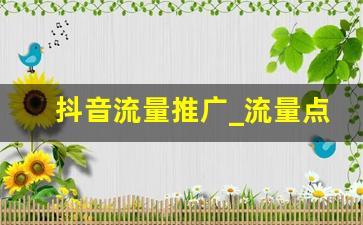 抖音流量推广_流量点击推广平台