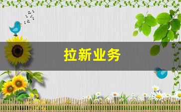 拉新业务
