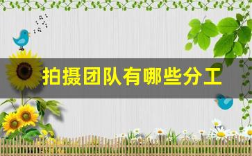 拍摄团队有哪些分工