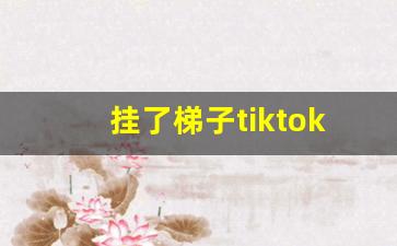 挂了梯子tiktok无法加载_tiktok下载