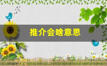 推介会啥意思