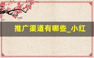 推广渠道有哪些_小红书怎么推广