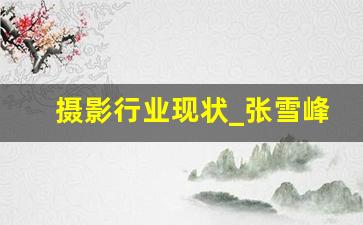 摄影行业现状_张雪峰怎么看摄影专业