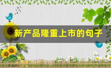 新产品隆重上市的句子_推广新产品最好的方法
