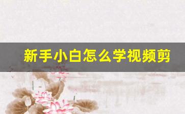 新手小白怎么学视频剪辑_如何快速学会剪辑视频