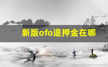 新版ofo退押金在哪里