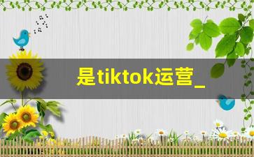 是tiktok运营_tiktok成功