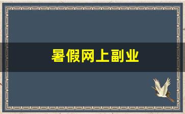 暑假网上副业